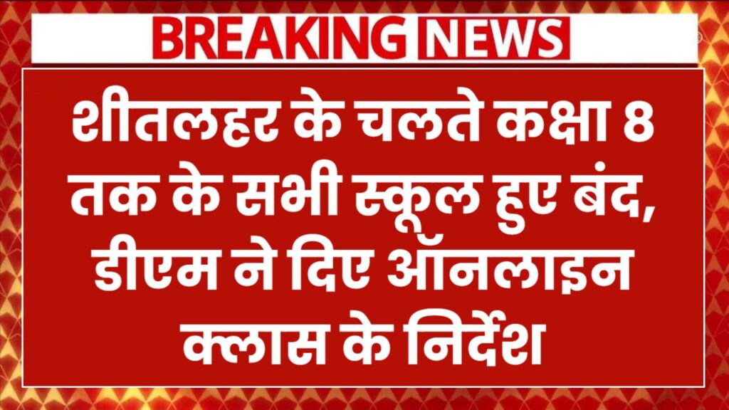 शीतलहर के चलते कक्षा 8 तक के स्कूल बंद, डीएम ने दिए ऑनलाइन क्लास के निर्देश